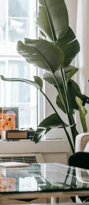 Side view of professional female African American therapist sitting in front of black male patient during psychotherapy session in office